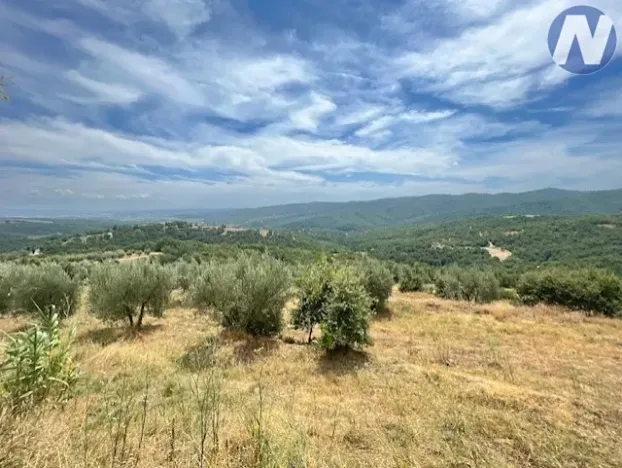 Prodej zemědělské usedlosti, Arezzo, Itálie, 300 m2