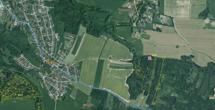 Prodej lesa, Srubec, 677 m2