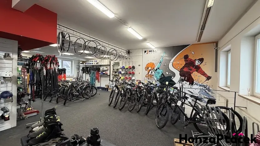 Pronájem obchodního prostoru, Praha - Kobylisy, Střelničná, 418 m2