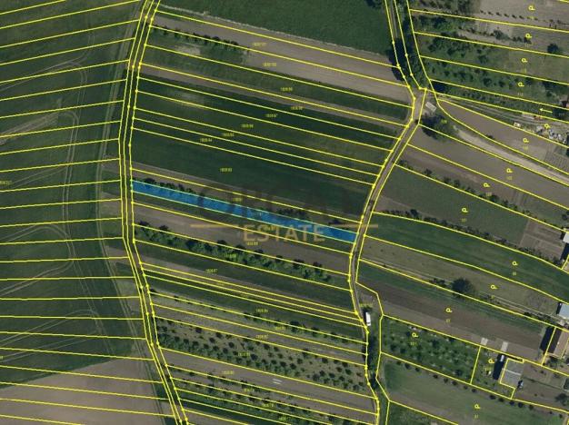 Prodej sadu/vinice, Vacenovice, 605 m2