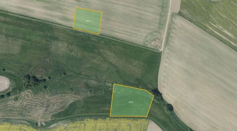 Prodej louky, Pavlov, 12071 m2