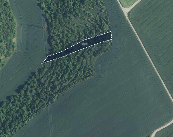 Prodej sadu/vinice, Uherčice, 2564 m2