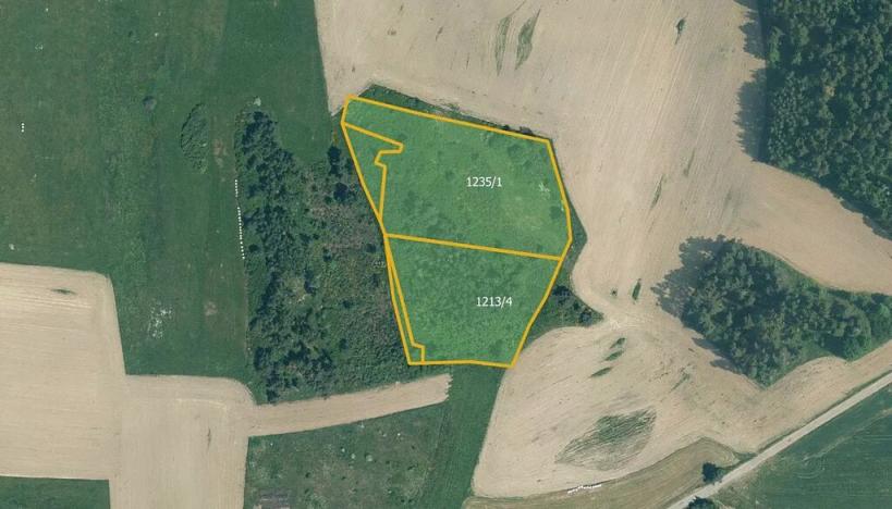 Prodej pole, Velký Bor, 34439 m2