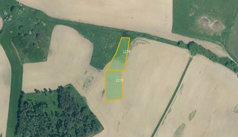 Prodej pole, Velký Bor, 45700 m2