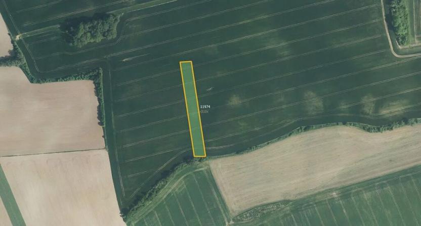 Prodej pole, Čechy, 15729 m2