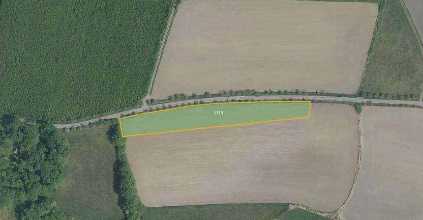 Prodej pole, Uhersko, 11302 m2