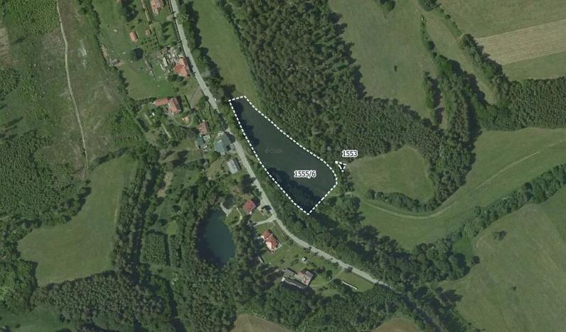 Prodej louky, Rozstání, 8110 m2
