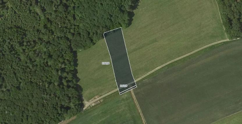 Prodej louky, Rozstání, 8110 m2