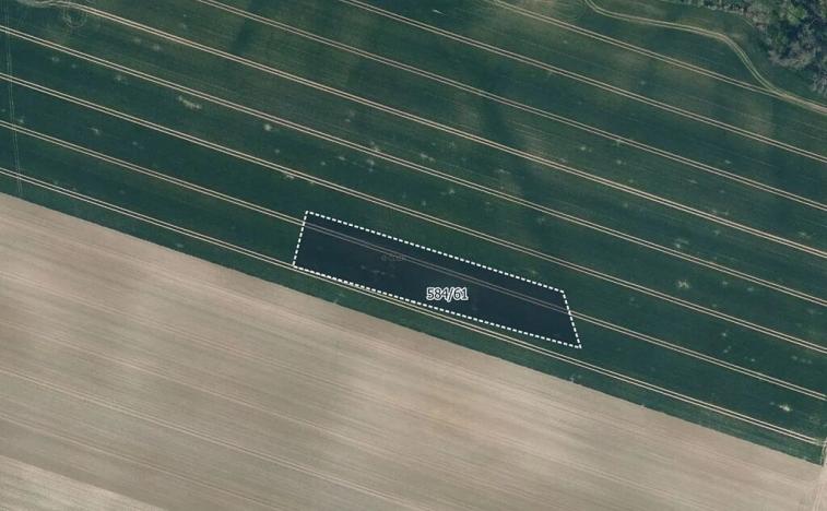 Prodej pole, Mělnické Vtelno, 5954 m2