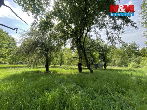 Prodej zahrady, Jeníkov - Oldřichov, 1999 m2