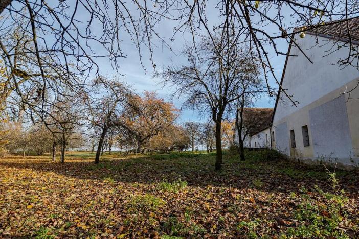 Prodej zemědělské usedlosti, Vysoké Mýto, 250 m2