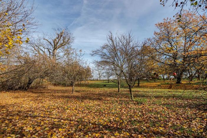 Prodej zemědělské usedlosti, Vysoké Mýto, 250 m2