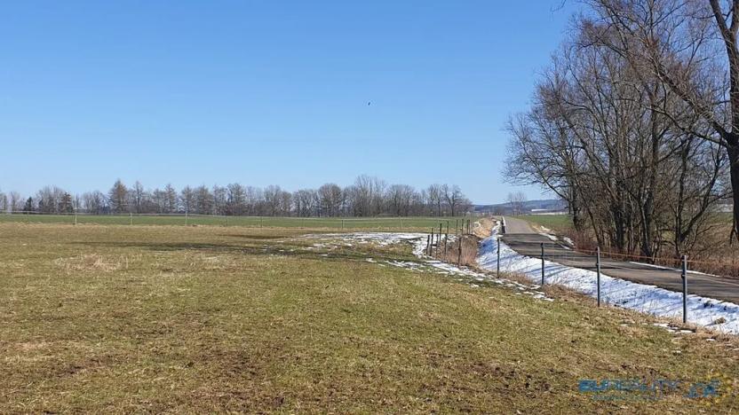 Prodej louky, Police nad Metují, 9001 m2