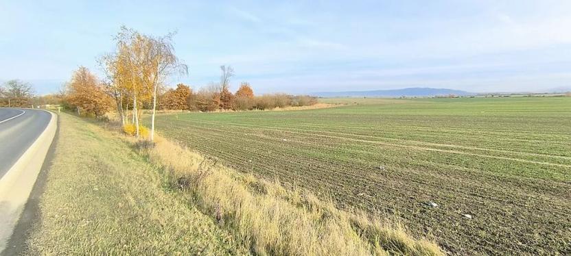 Prodej pole, Cheb, Nižnětagilská, 17000 m2