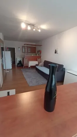 Pronájem bytu 1+kk, Teplice, U divadla, 38 m2
