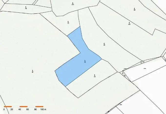 Prodej lesa, Česká Bělá, 6755 m2