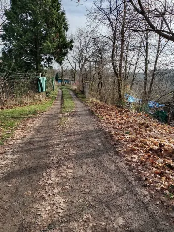 Prodej zahrady, Brno, 1700 m2