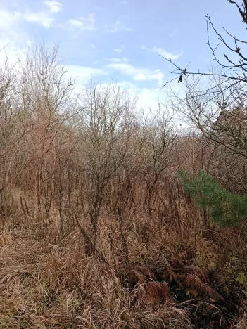 Prodej zahrady, Brno, 1700 m2