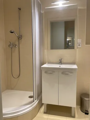 Pronájem bytu 1+1, Praha - Vinohrady, Máchova, 40 m2