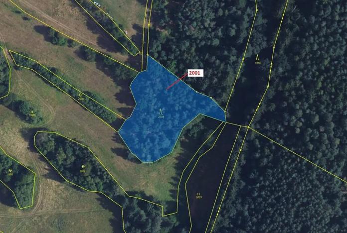 Dražba lesa, Žďárec, 2873 m2