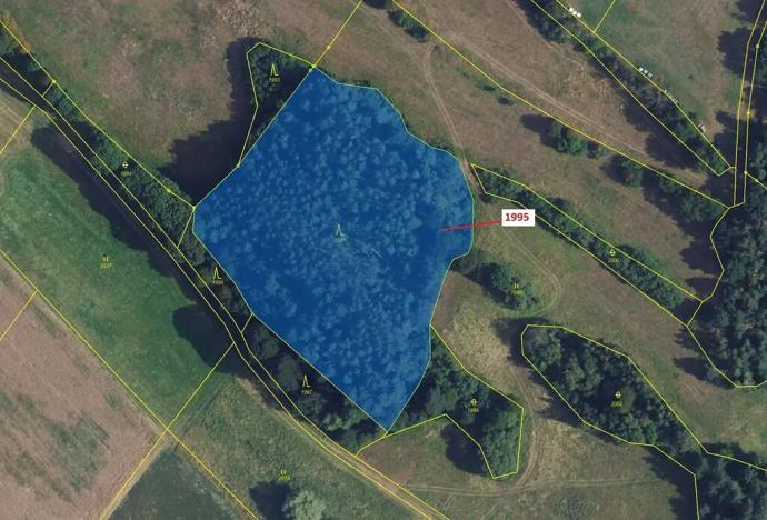 Dražba lesa, Žďárec, 1995 m2