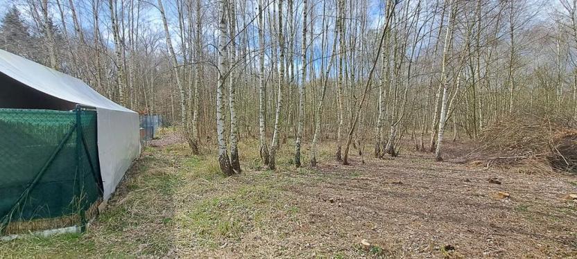 Prodej pozemku pro bydlení, Kostelec u Křížků, 1188 m2