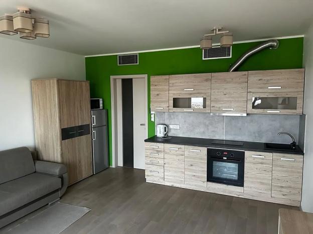 Pronájem bytu 1+kk, Praha - Žižkov, Olšanská, 36 m2