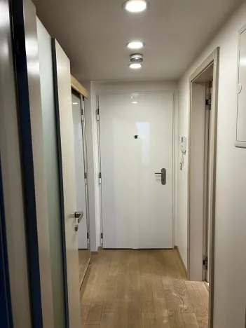 Pronájem bytu 1+kk, Praha - Žižkov, Olšanská, 36 m2