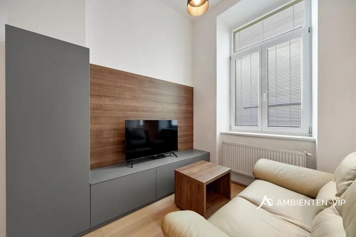 Pronájem bytu 1+kk, Brno, Masarykova, 28 m2