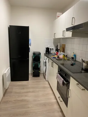 Pronájem bytu 1+kk, Brno, Křenová, 30 m2
