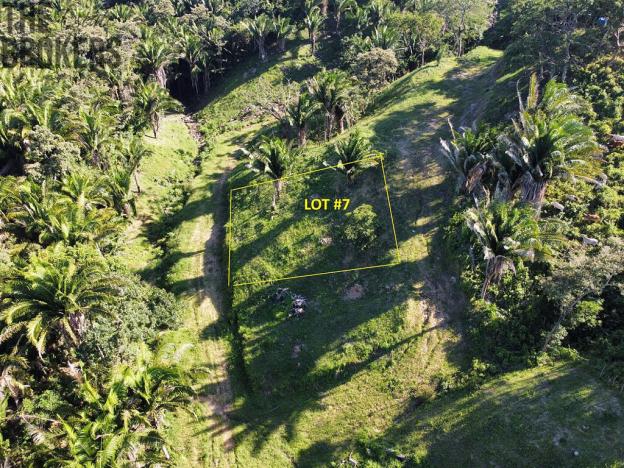 Prodej pozemku, Coxen Hole, Roatán, Honduras, 350 m2