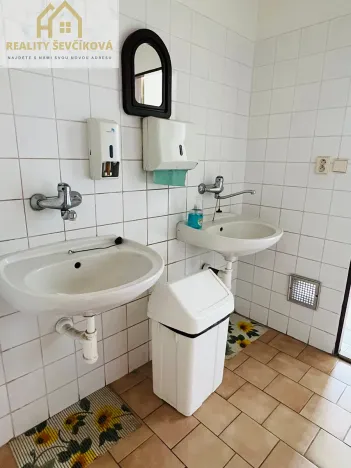 Pronájem kanceláře, Hradec Králové, Přemyslova, 33 m2