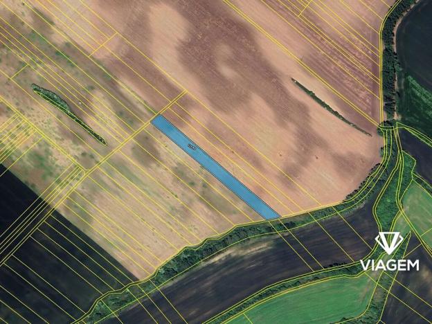 Prodej podílu pole, Mutěnice, 3198 m2