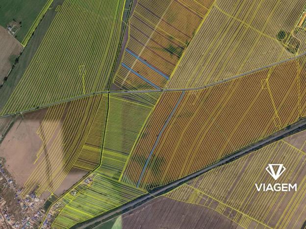 Prodej podílu pole, Moravská Nová Ves, 1175 m2