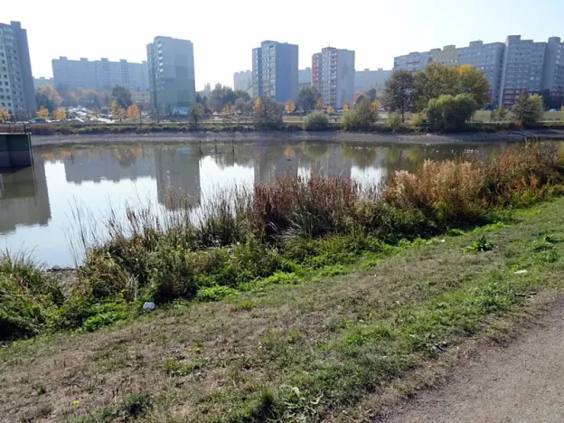 Pronájem pokoje, Praha - Stodůlky, K zahrádkám, 18 m2