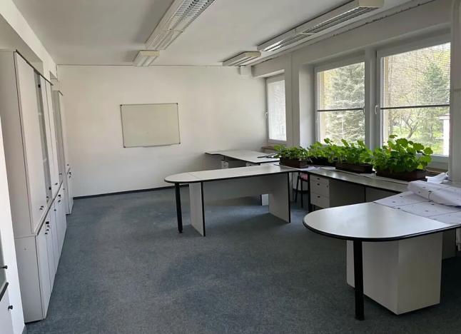 Prodej kanceláře, Litvínov, Ruská, 2216 m2