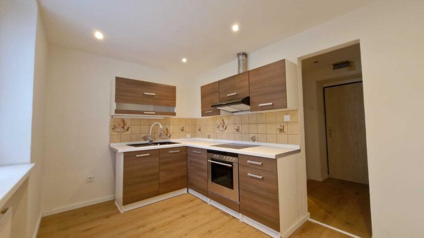 Pronájem bytu 1+1, Litvínov - Chudeřín, Horská, 30 m2