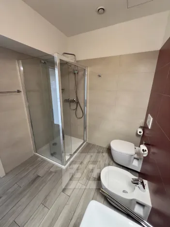 Pronájem bytu 2+1, Praha - Staré Město, Revoluční, 58 m2