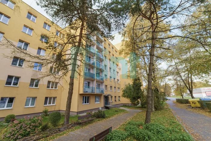 Prodej bytu 1+kk, Havířov, 17. listopadu, 25 m2