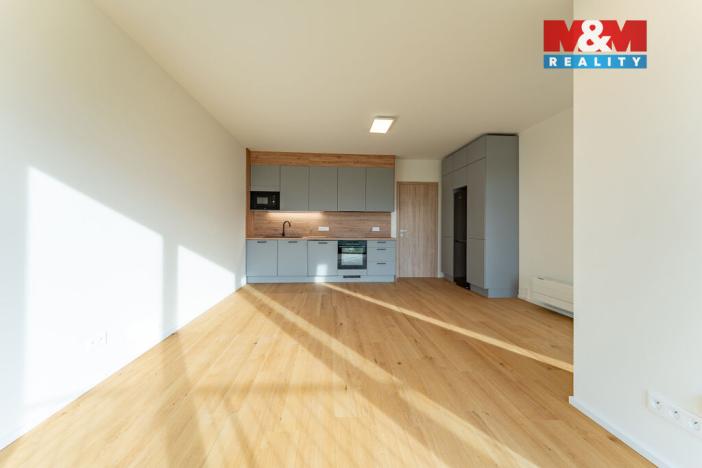 Pronájem bytu 1+kk, Brandýs nad Labem-Stará Boleslav - Brandýs nad Labem, Dřevčická, 38 m2