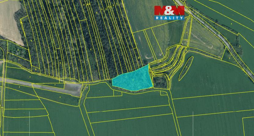 Prodej lesa, Koloveč, 10594 m2