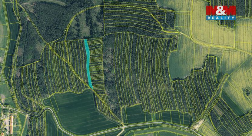 Prodej lesa, Koloveč, 10594 m2