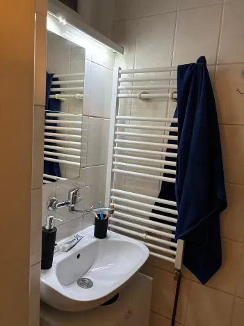 Pronájem bytu 2+1, Brno, Francouzská, 46 m2