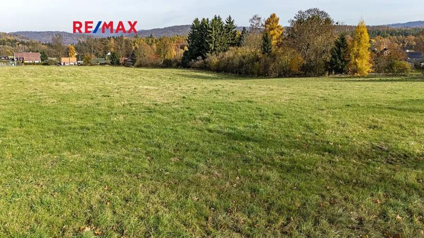 Prodej pozemku pro bydlení, Velká Bukovina, 1104 m2