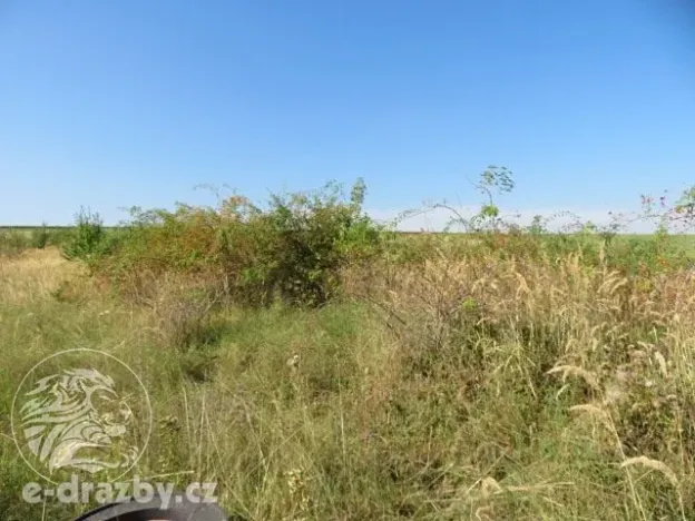 Dražba zahrady, Grunta, 901 m2