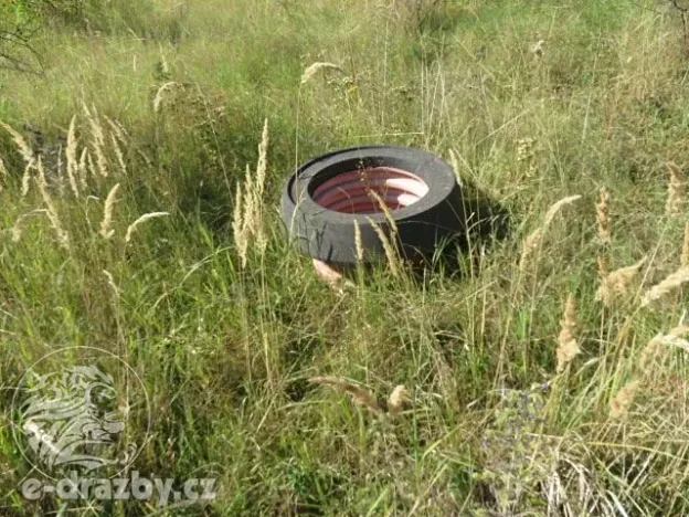 Dražba zahrady, Grunta, 901 m2