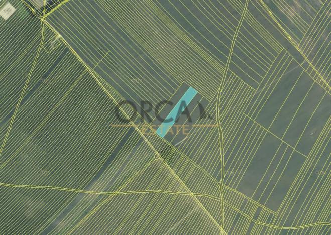 Prodej pole, Moravská Nová Ves, 13376 m2