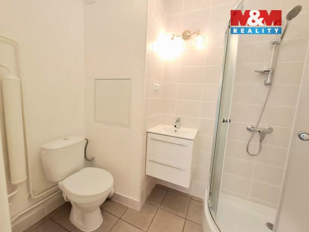 Pronájem bytu 1+1, Ostrov, Odborů, 33 m2