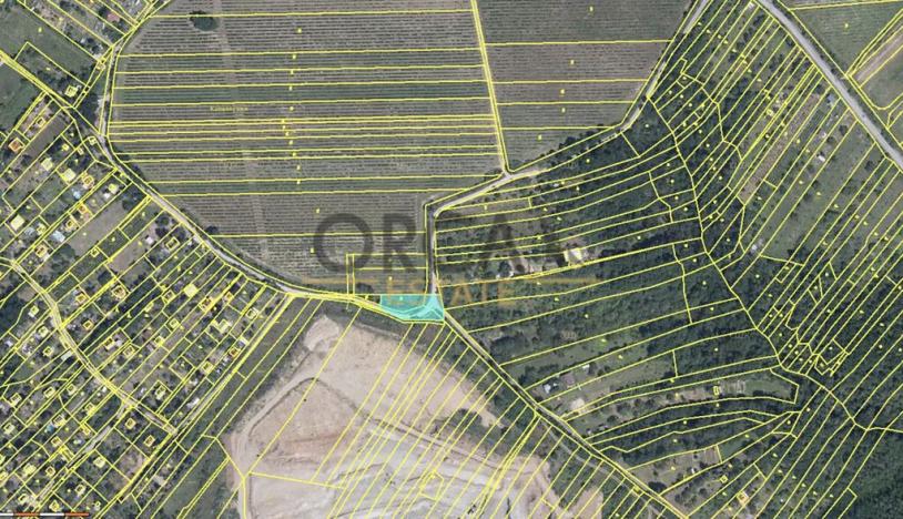 Prodej sadu/vinice, Dolní Kounice, 1926 m2