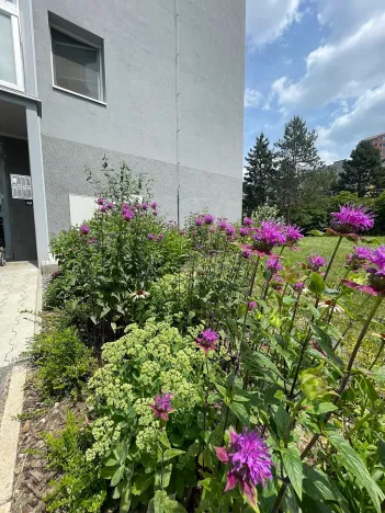 Prodej bytu 2+kk, Praha - Kamýk, Rytířova, 44 m2